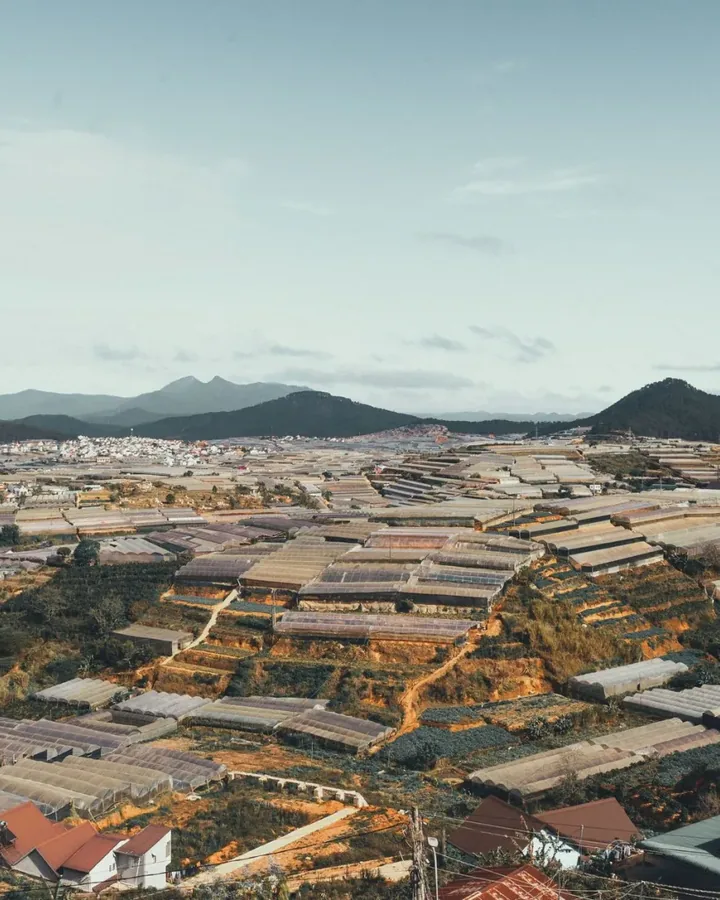 Khu vực lễ tân